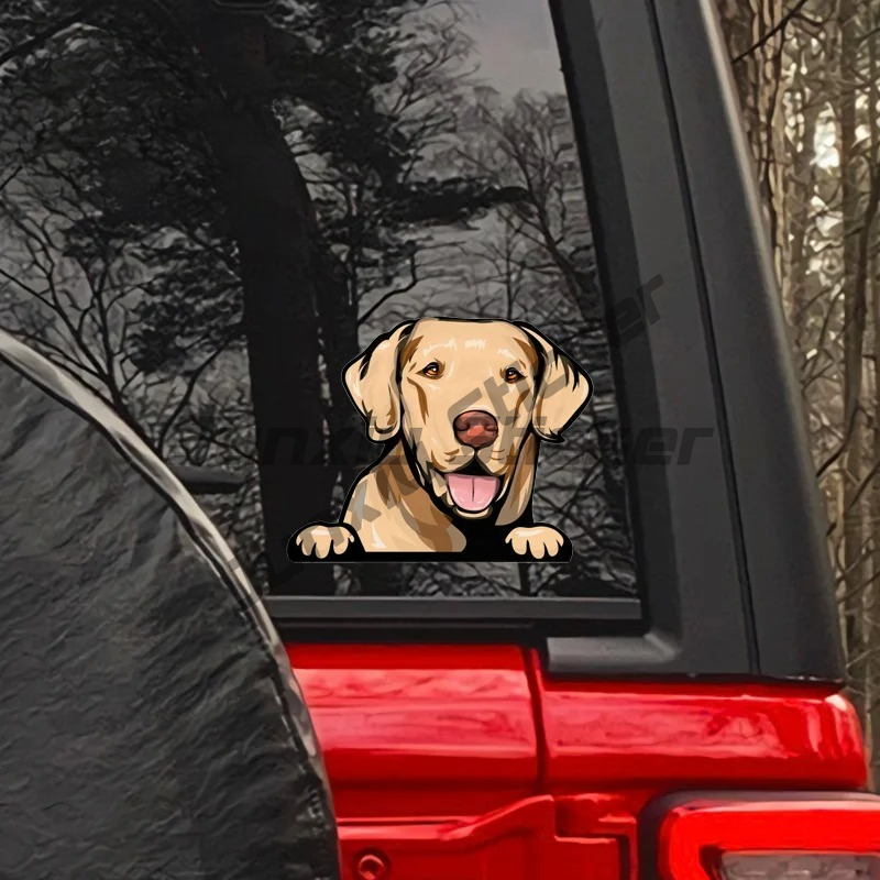 Yellow Laptop Accessories - Adesivi per auto Labrador Retriever Peeker,