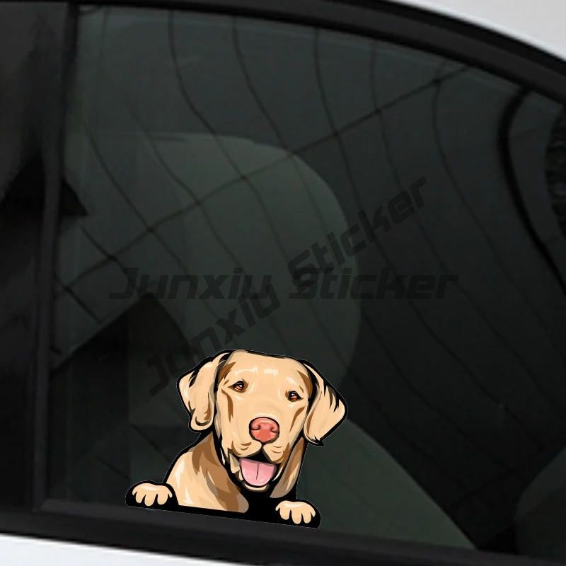 Adesivi per auto Labrador Retr - Yellow Laptop Accessories recensione e prezzo