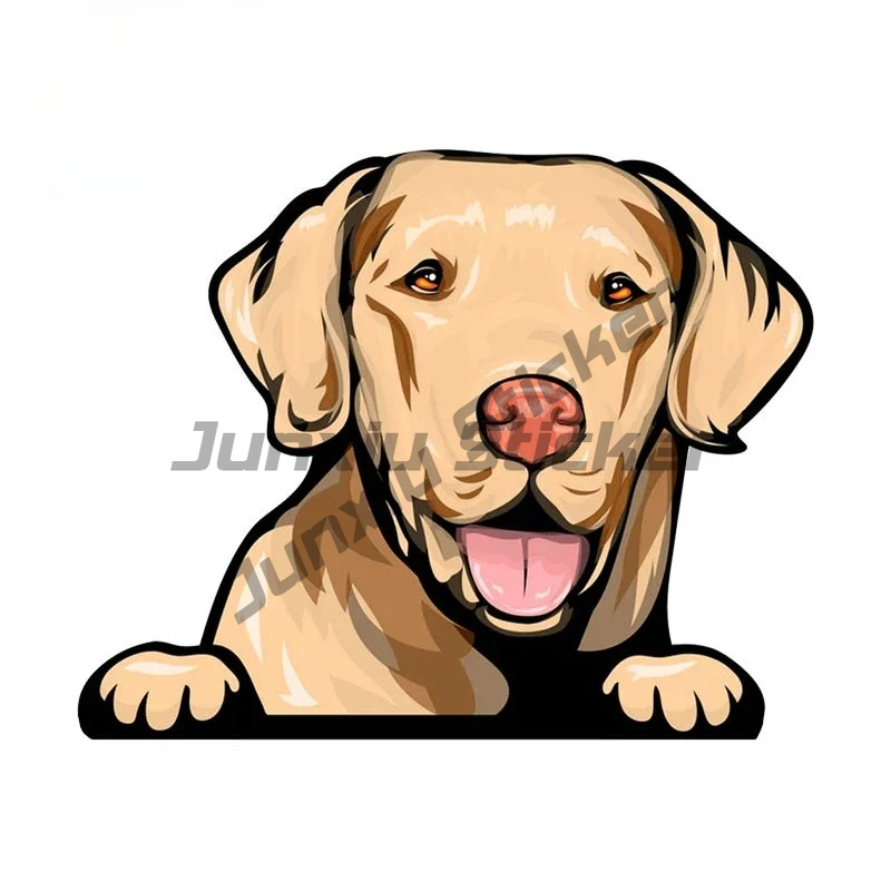 Adesivi per auto Labrador Retr - Yellow Laptop Accessories recensione e prezzo